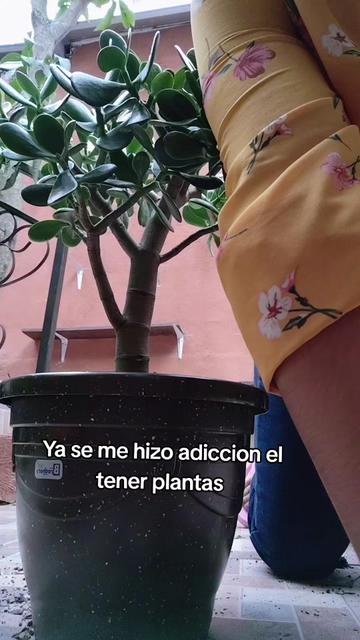 @María Leticia