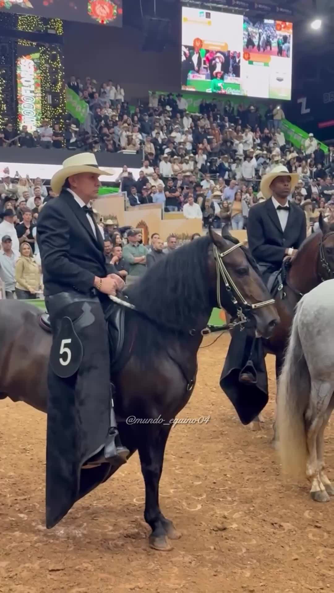 @mundo_equino04