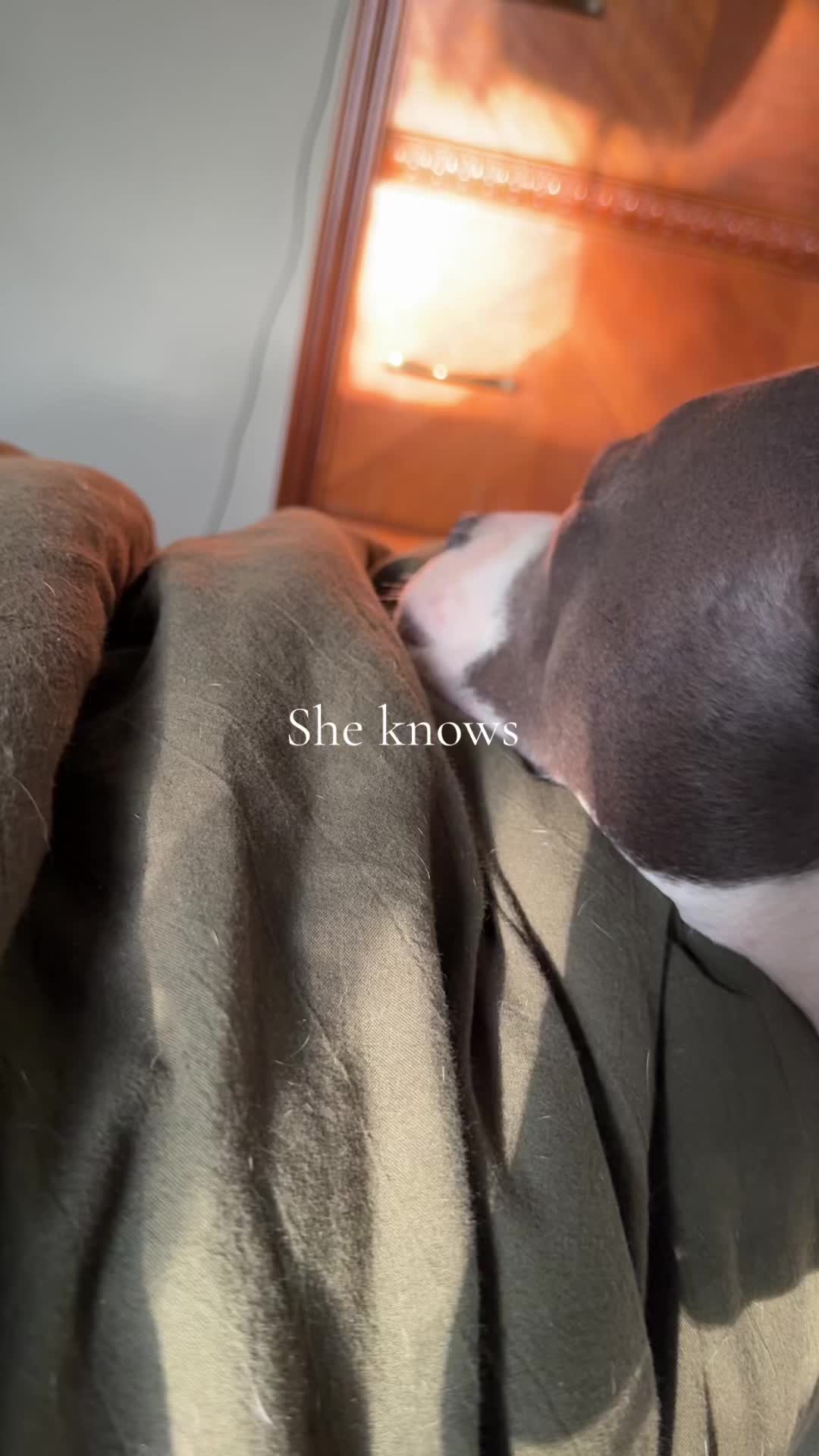 @elizasanthi
