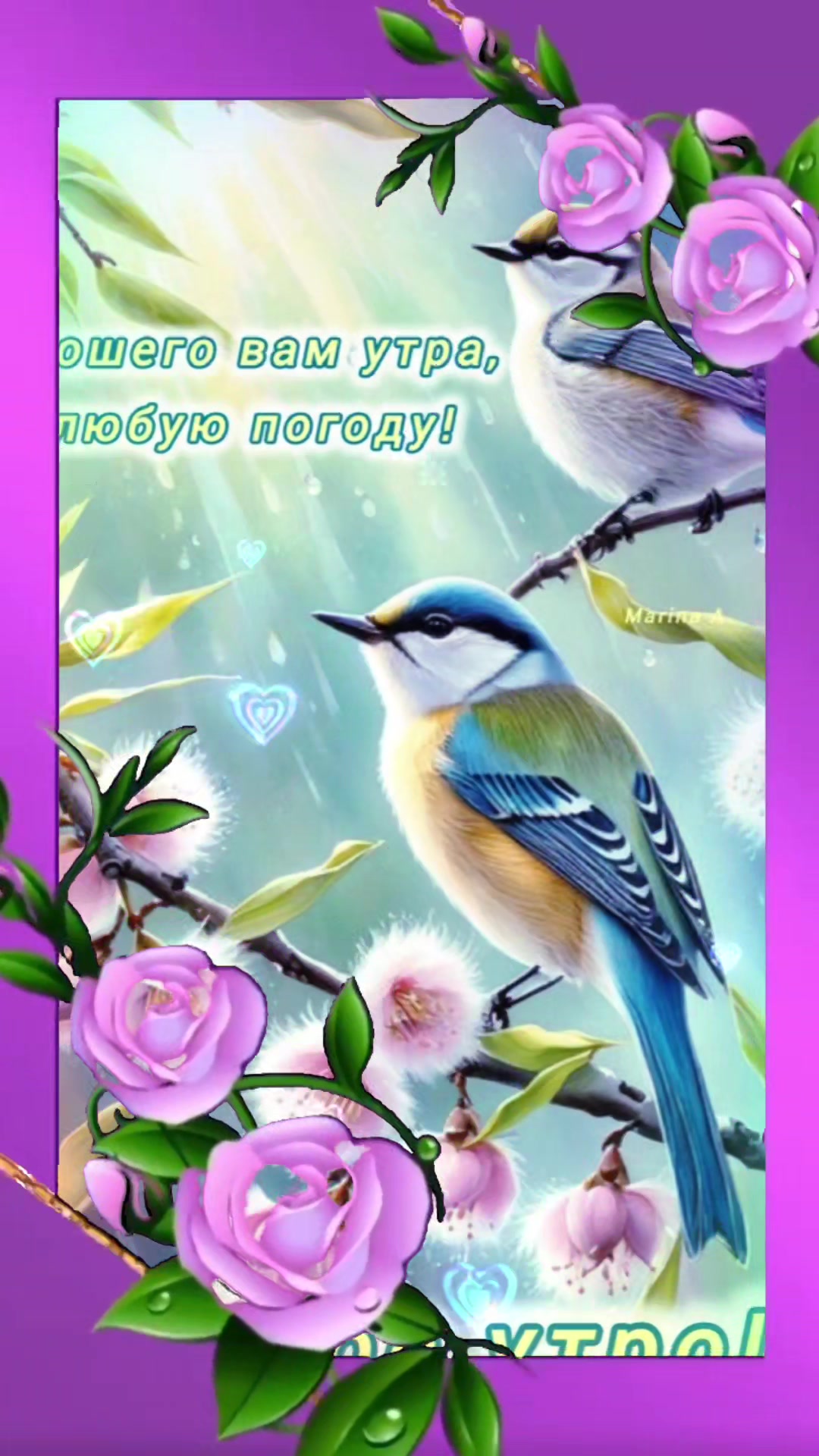 @nadezhdasvet1
