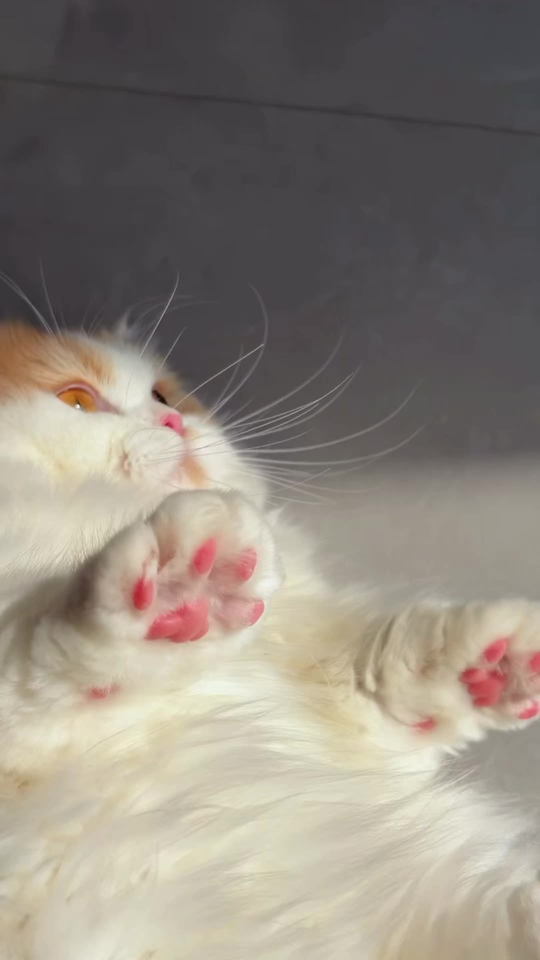 @My Daily Dose of Aww