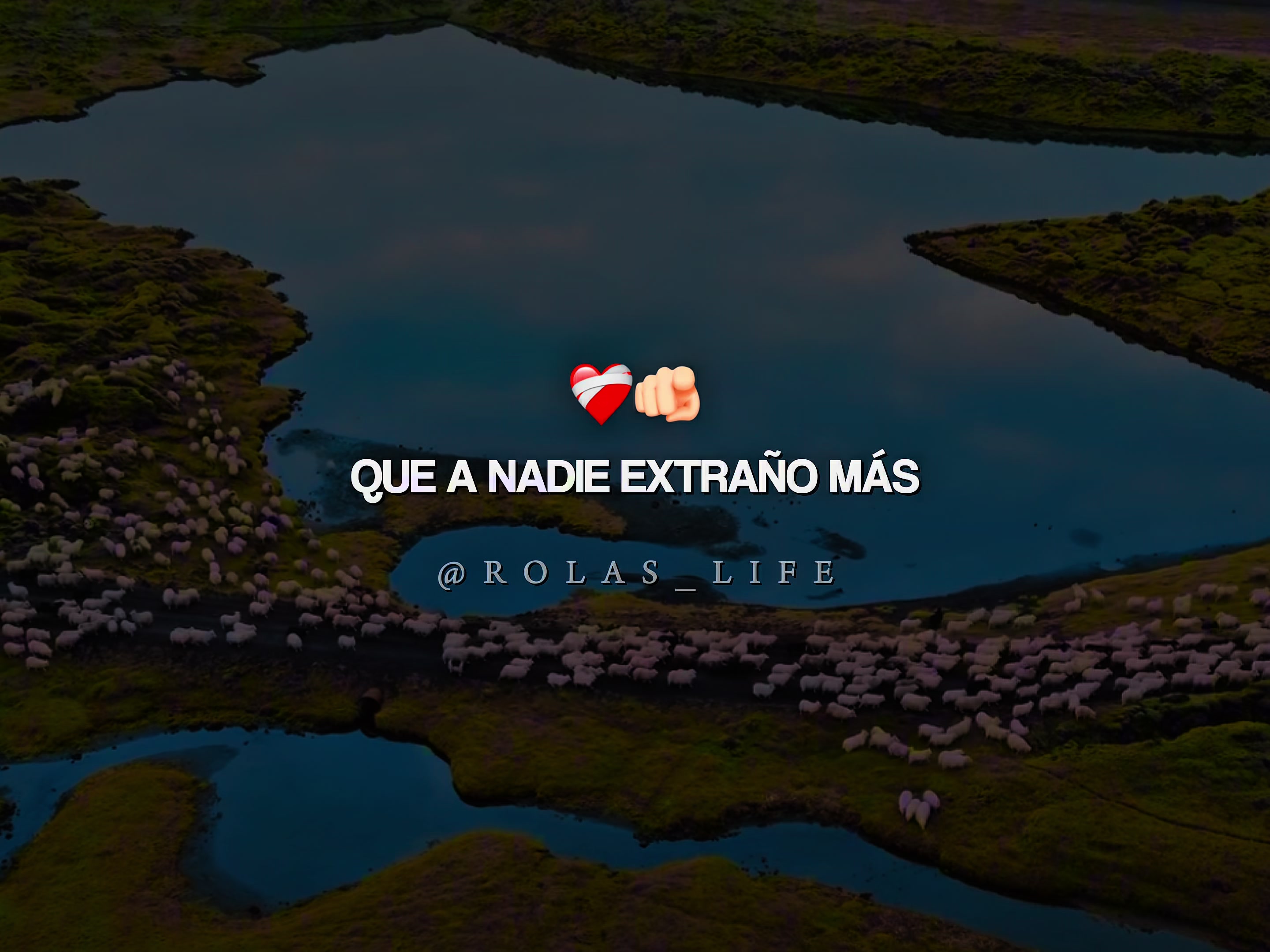 @𝐑𝐨𝐥𝐚𝐬 𝐥𝐢𝐟𝐞