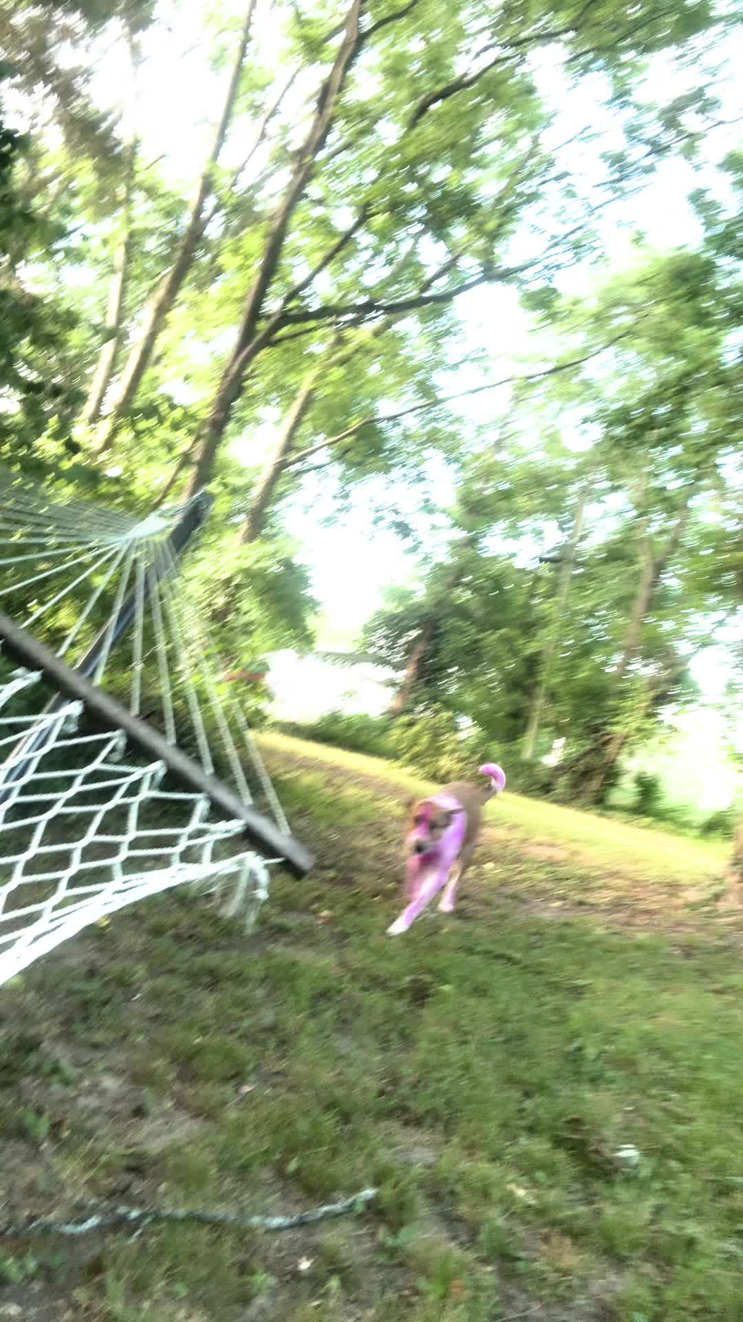 @𝕿𝖗𝖎𝖝 𝖂𝖎𝖓𝖈𝖍𝖊𝖘𝖙𝖊𝖗
