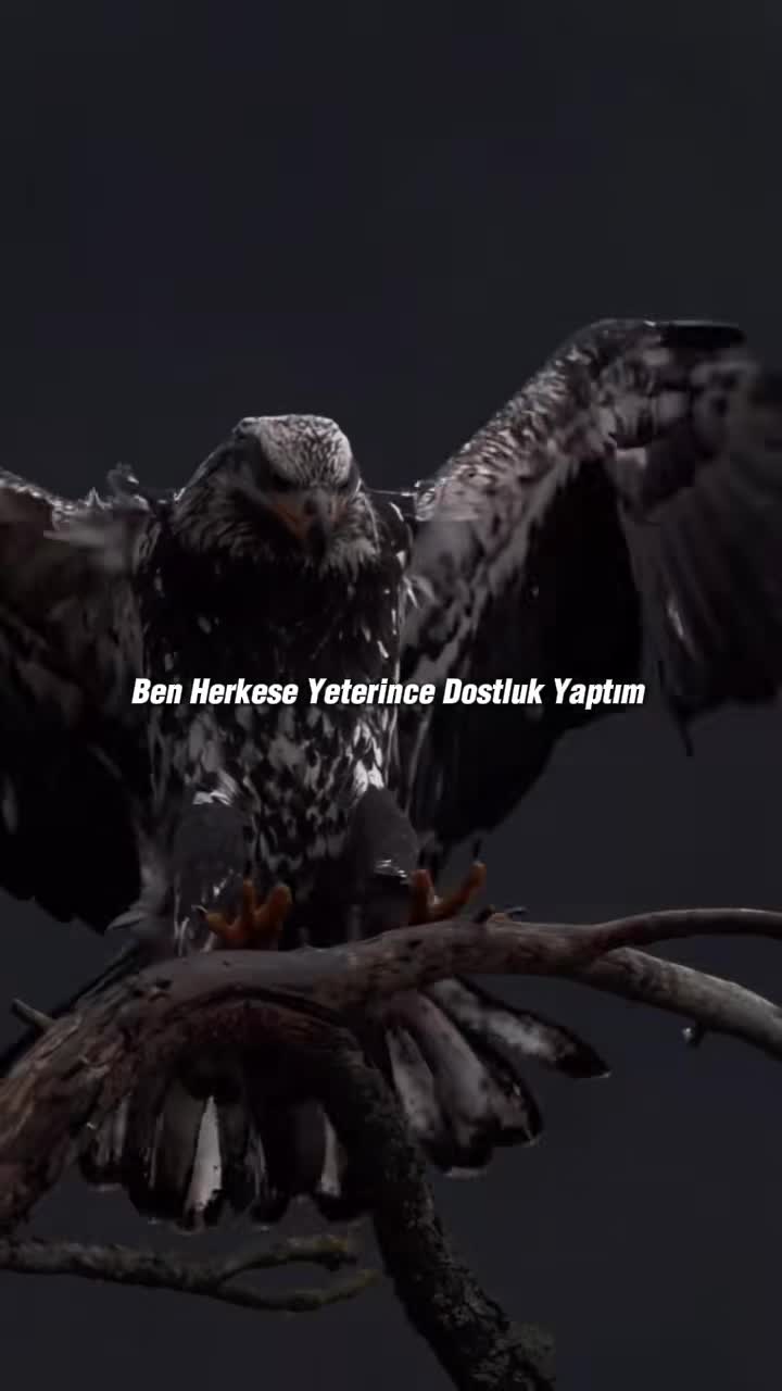 @𝟰𝘿𝙨 𝙆𝙐𝙍𝙏 𝘽𝙀𝙔 🐺