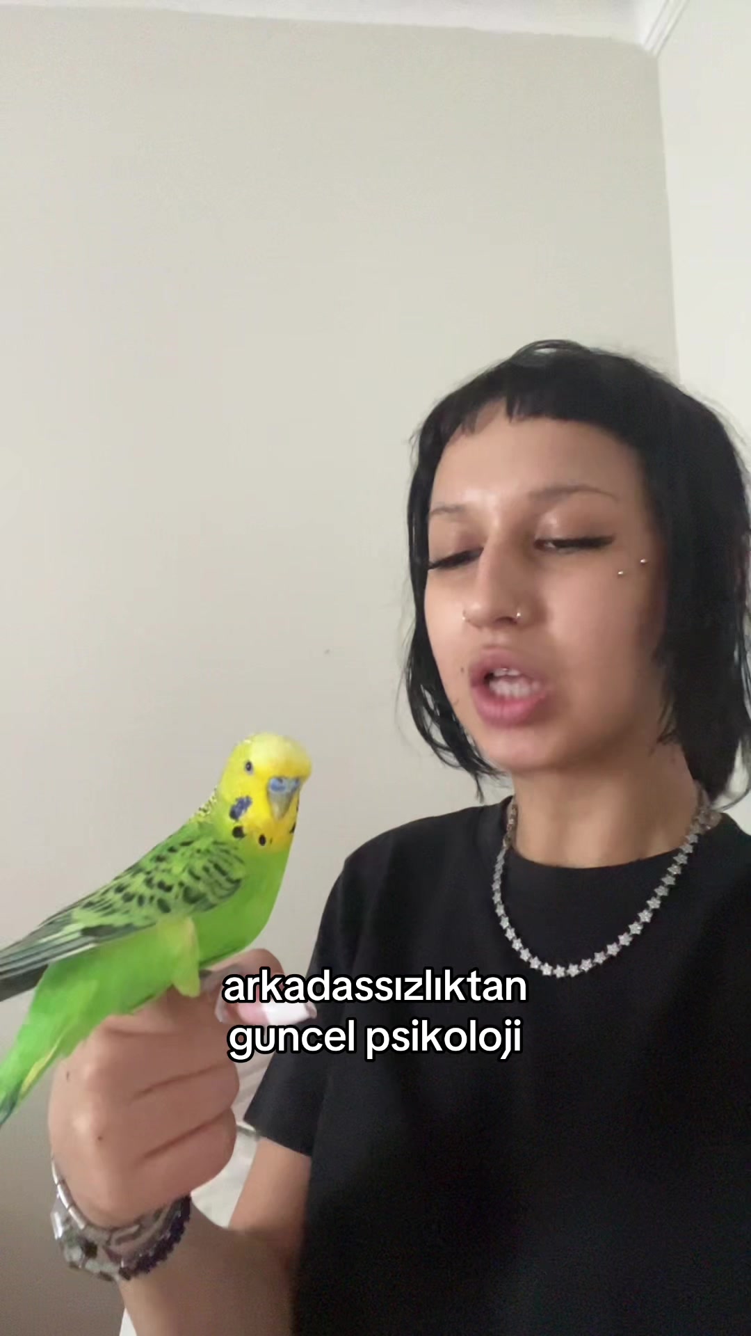 @şaklaban