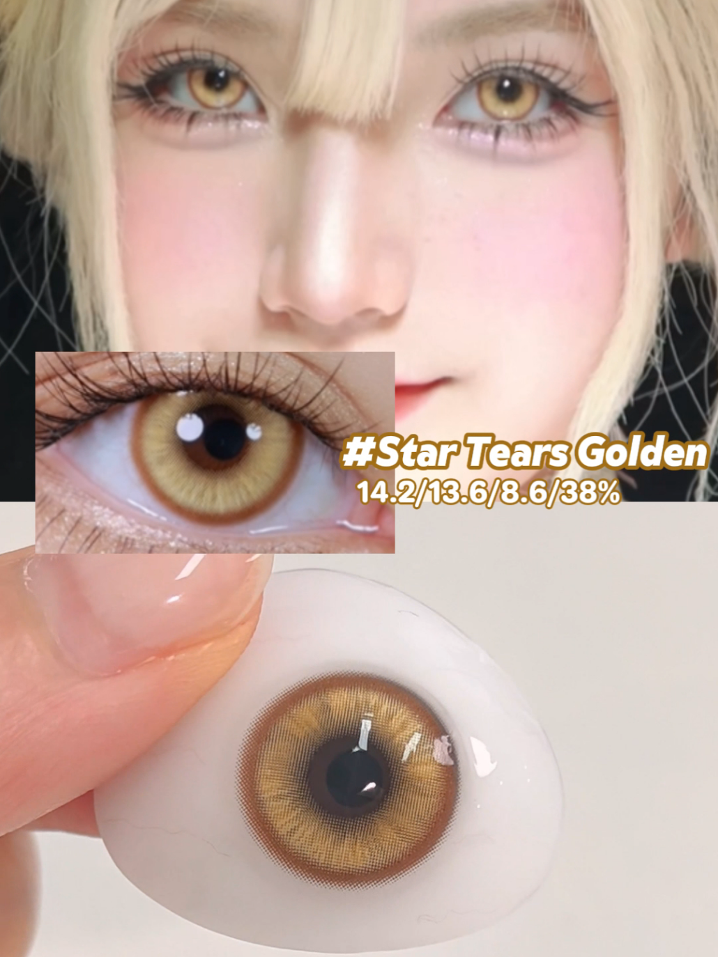 @sigocontacts_official