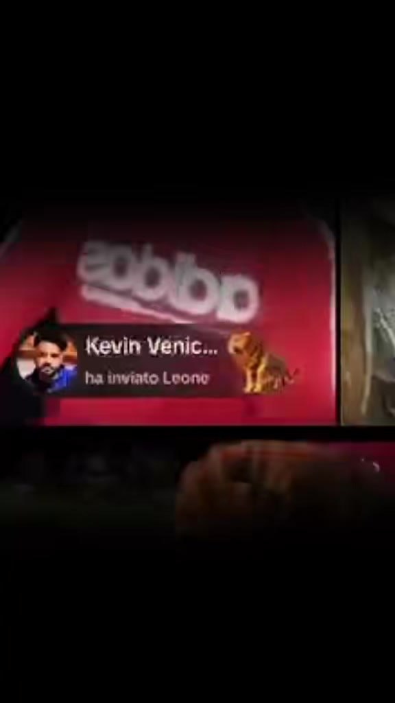 @Kevin Venice 🇮🇹