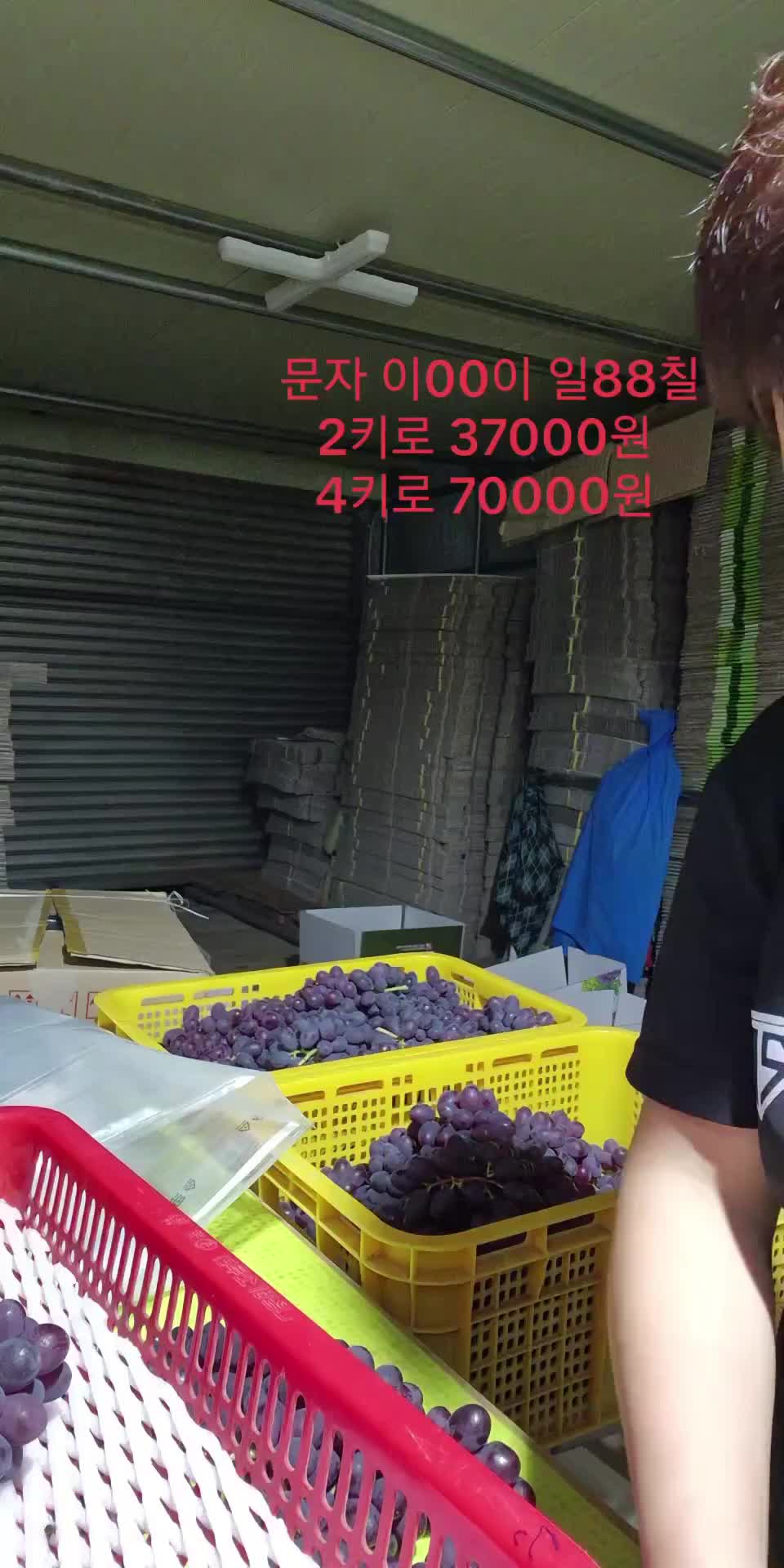 @진화포도원