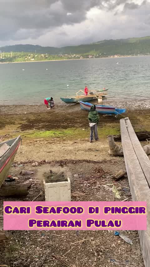 @celebes_girl