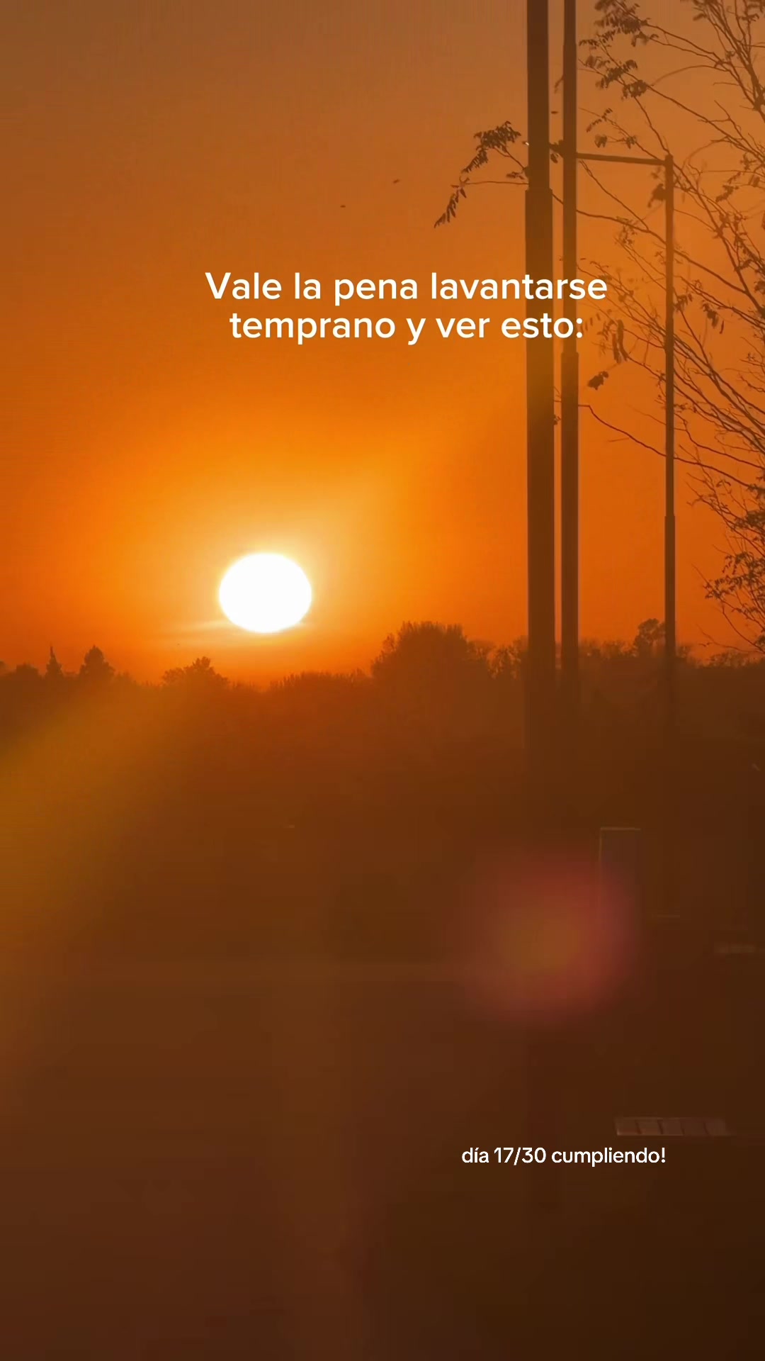 @Clari Viviers