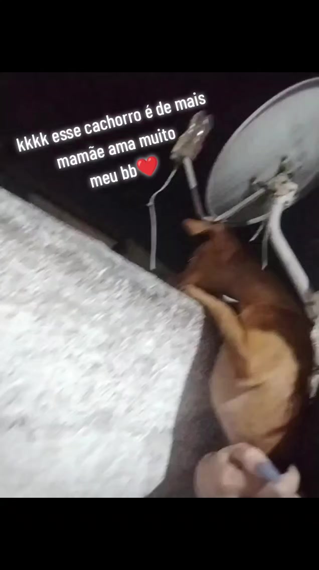 @Lili Teixeira