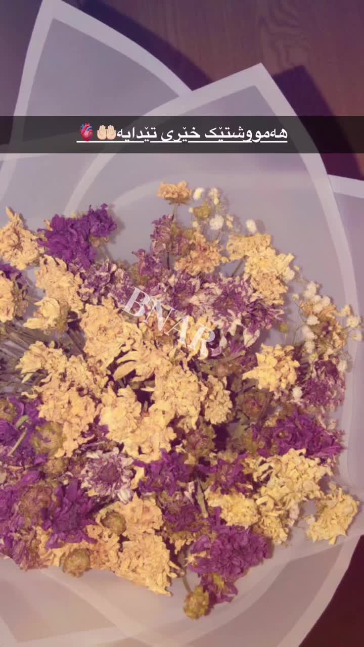 @𝓑𝓝𝓐𝓡🦋
