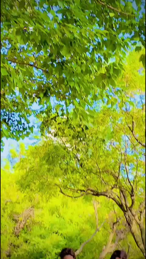 @mr.anaskhan90a