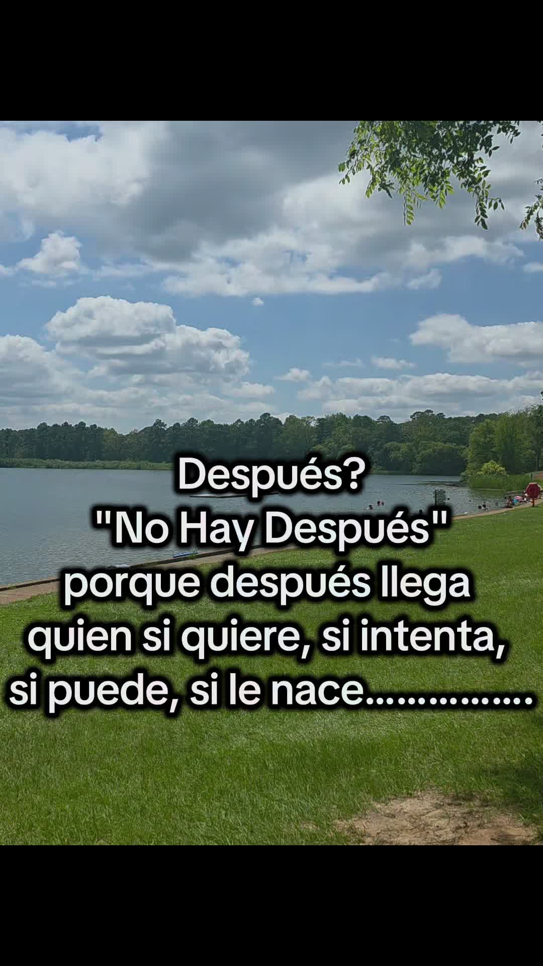 @Andrea
