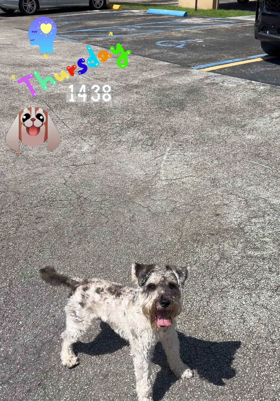 @Daniel Sanabria-Rentas Hialeah