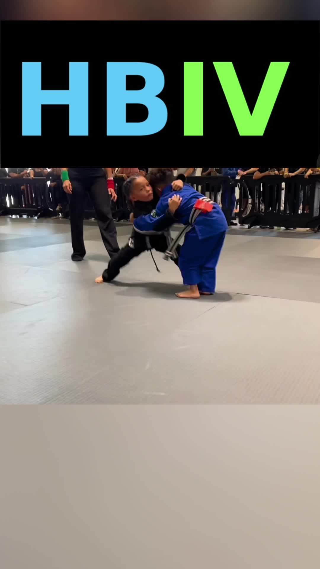 @HBIVthesamurai