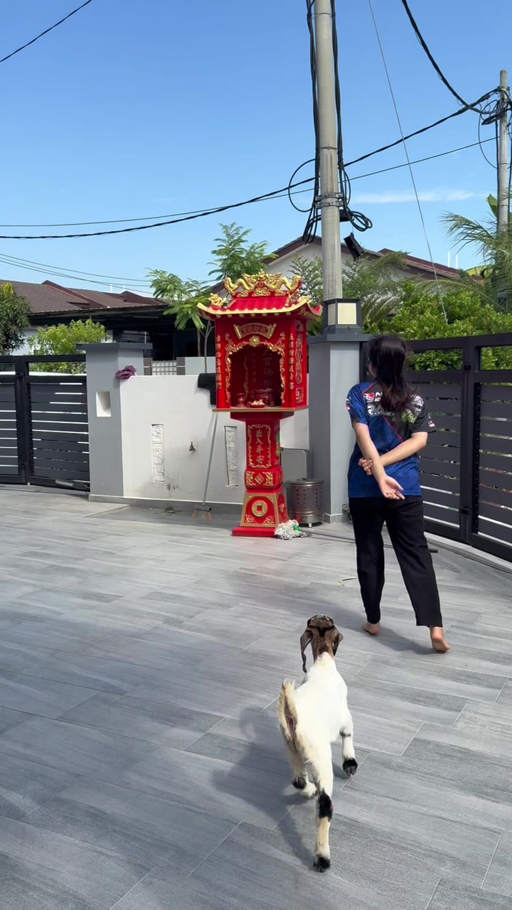 @xiaojieee