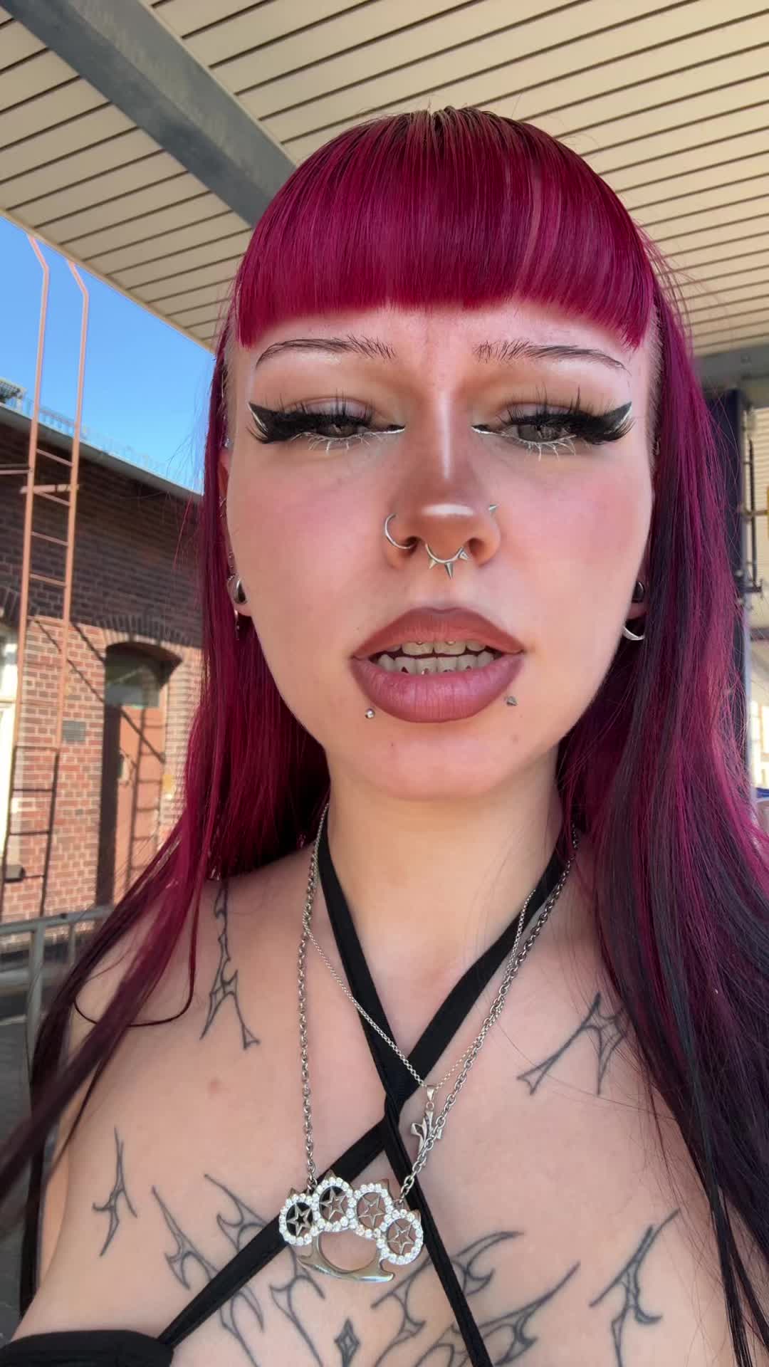 @≽^•༚•🎀≼
