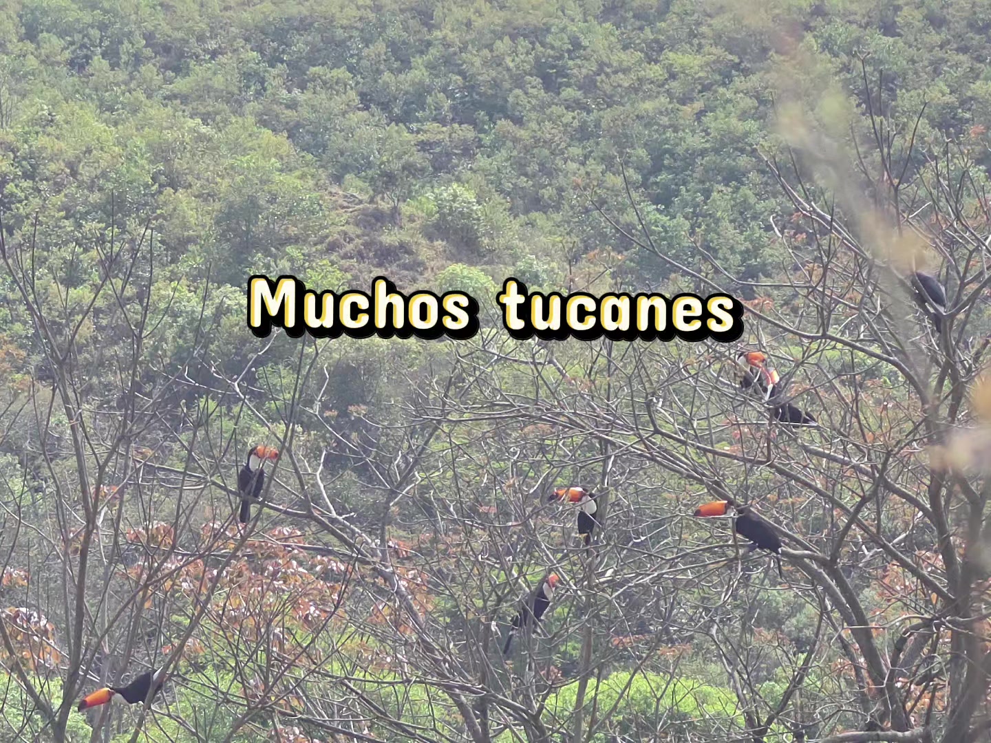 @Claudia Camacho