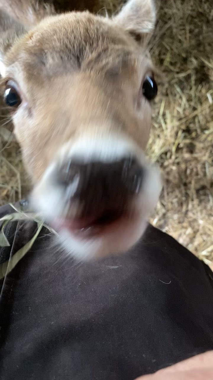 @Boo__Farm