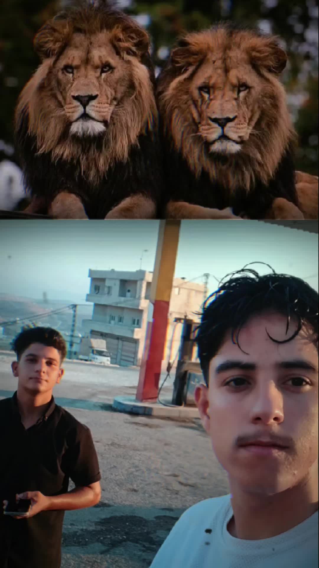 @محمد خالد الشيخ