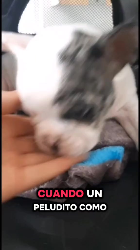 @Clínica la Vet Oriente