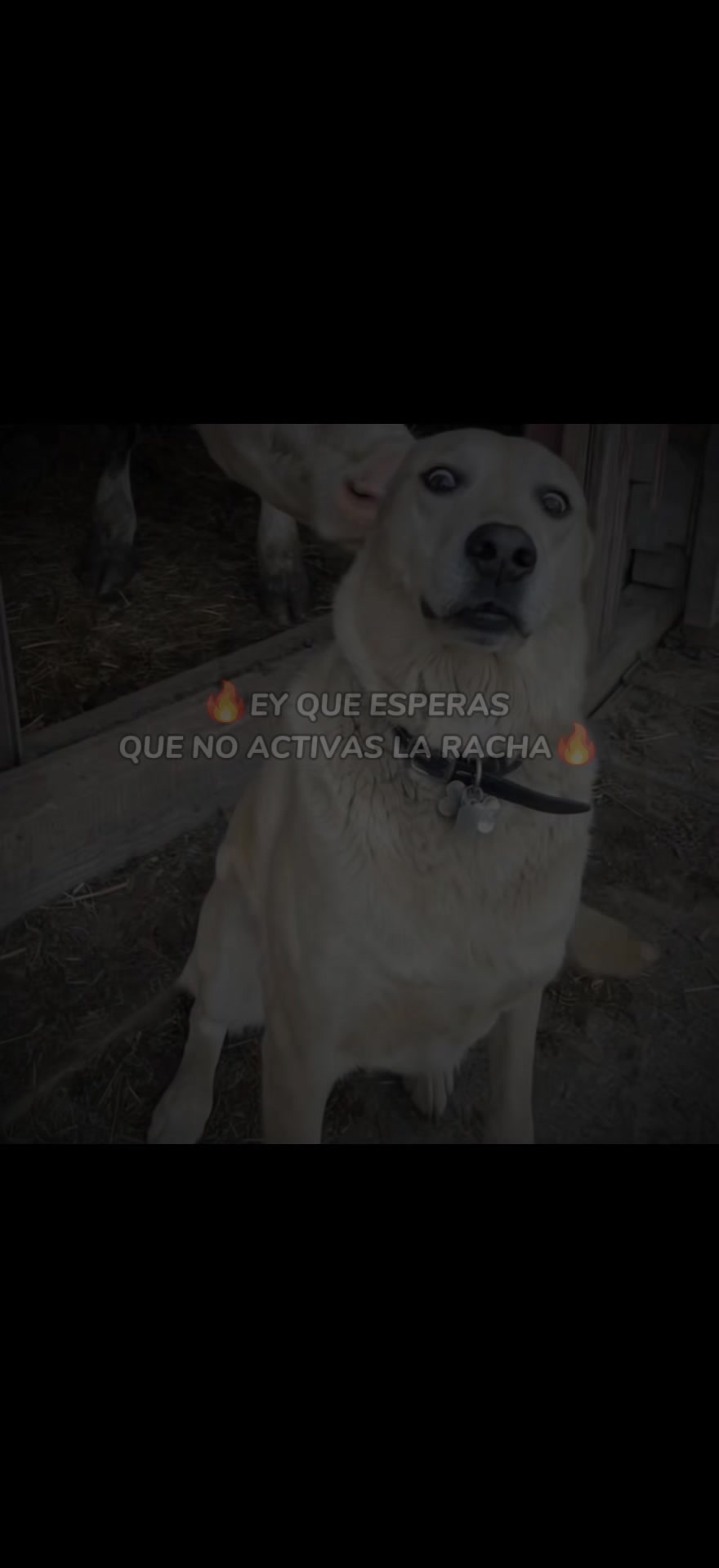 @Rolitas pegadas 🧃