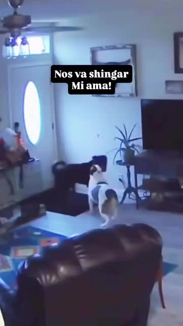 @Puras risas 😂