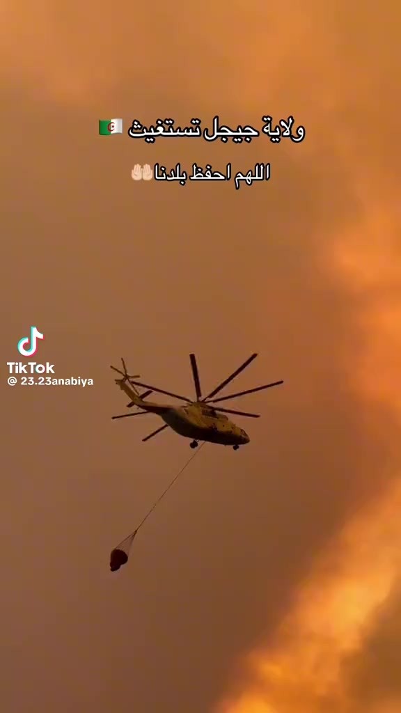 @محمد امين