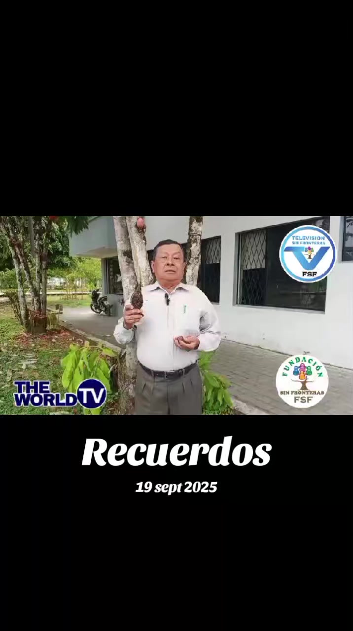 @toyotita  amor