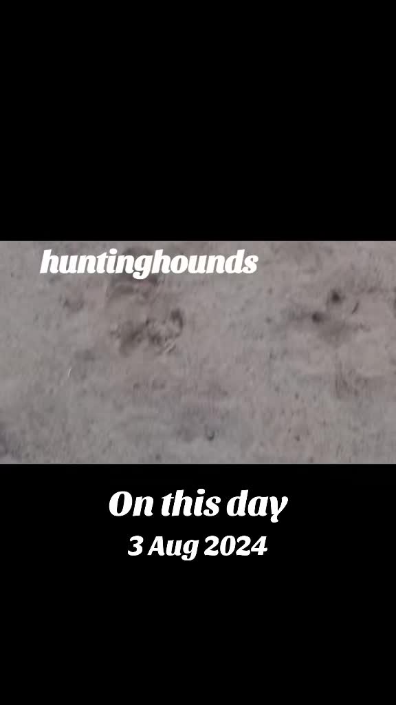 @doadventures21