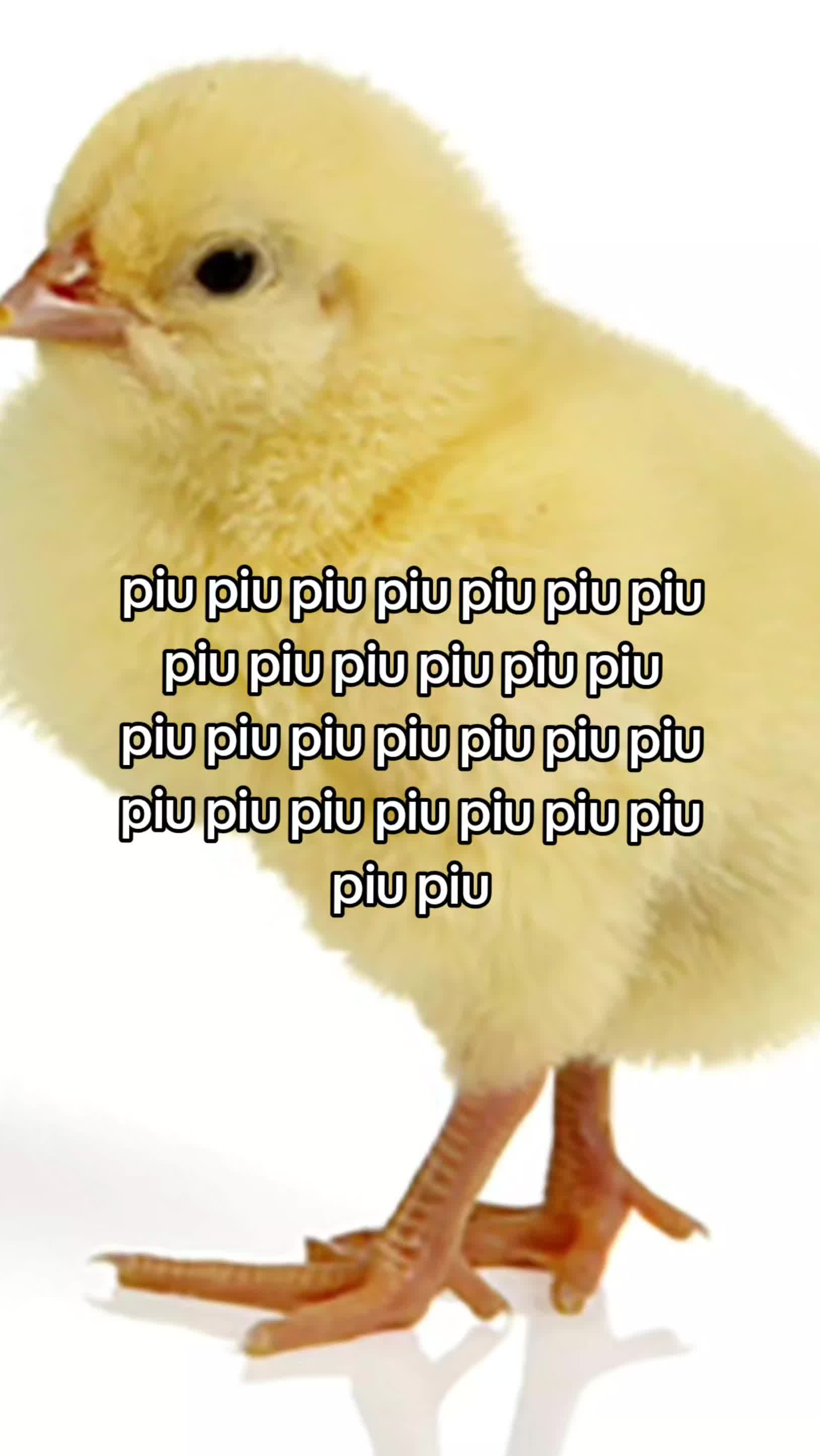 @Emma🪷