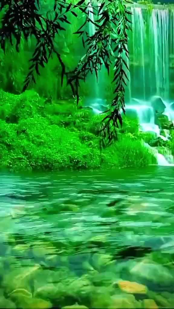 @mashod83
