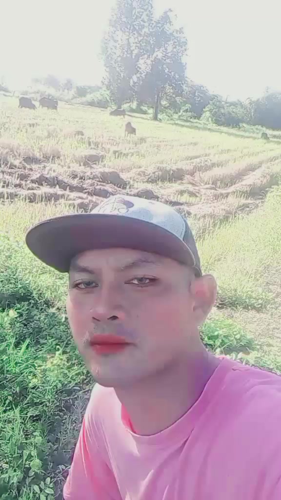 @บุญเพ็ญฟาร์มวัว
