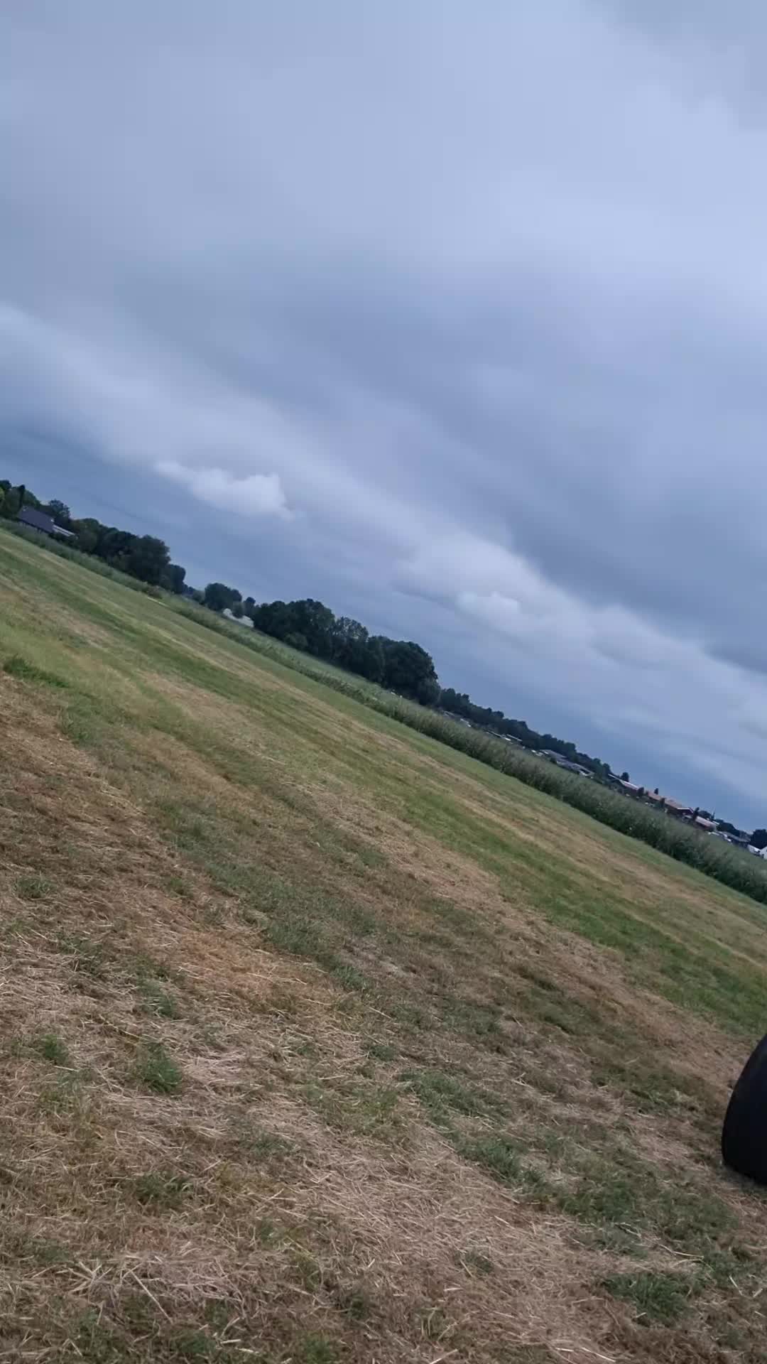 @Krijn in 't Veld