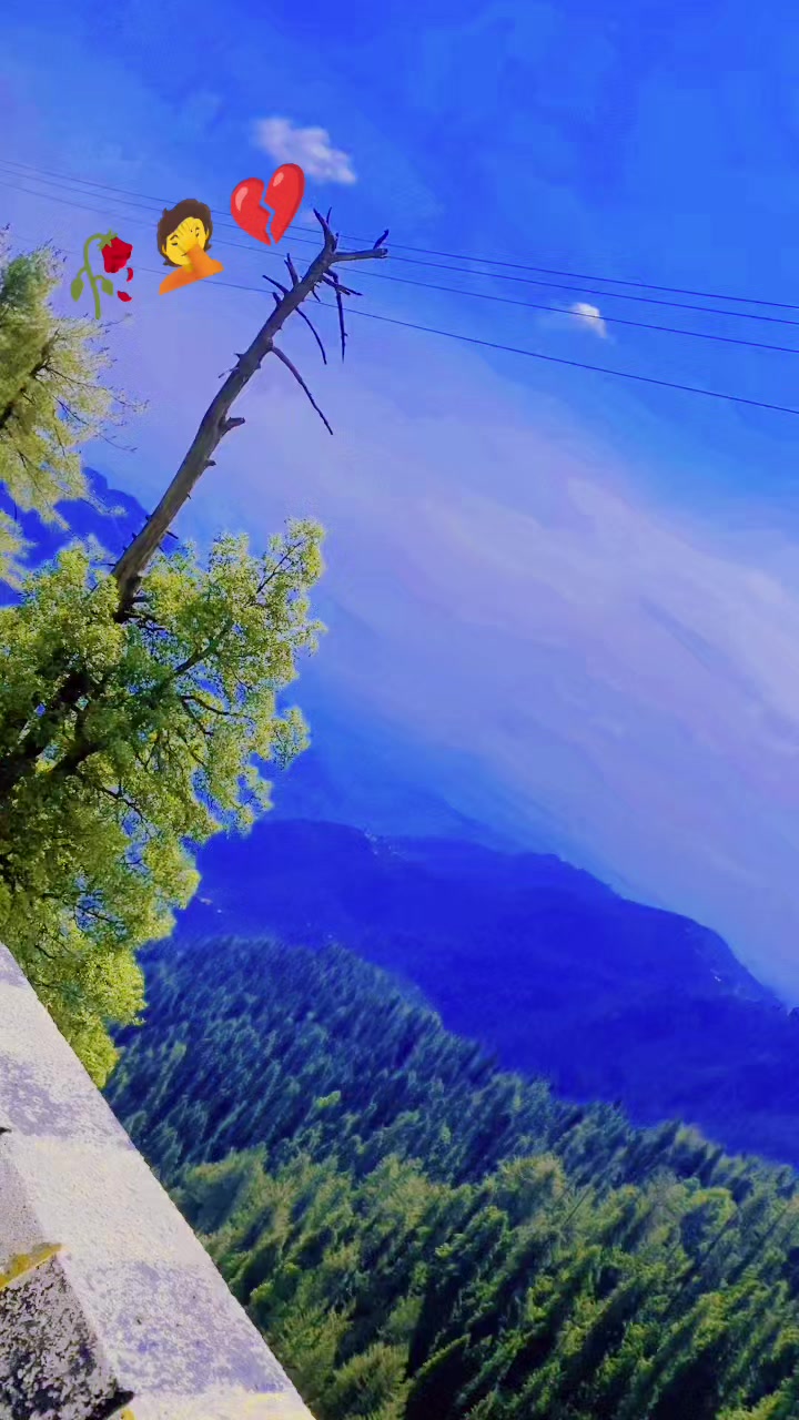 @🦅&raquo;تنہا🔥🇦&laquo;🫴