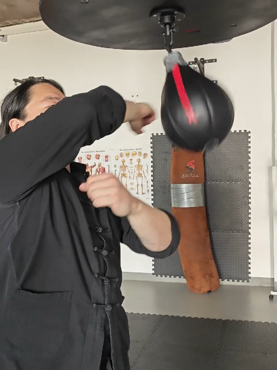 @TaiChi_Wingchun_PF