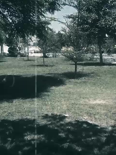 @༒ⒸⒽ ⓍⒶⒶⒹ༒