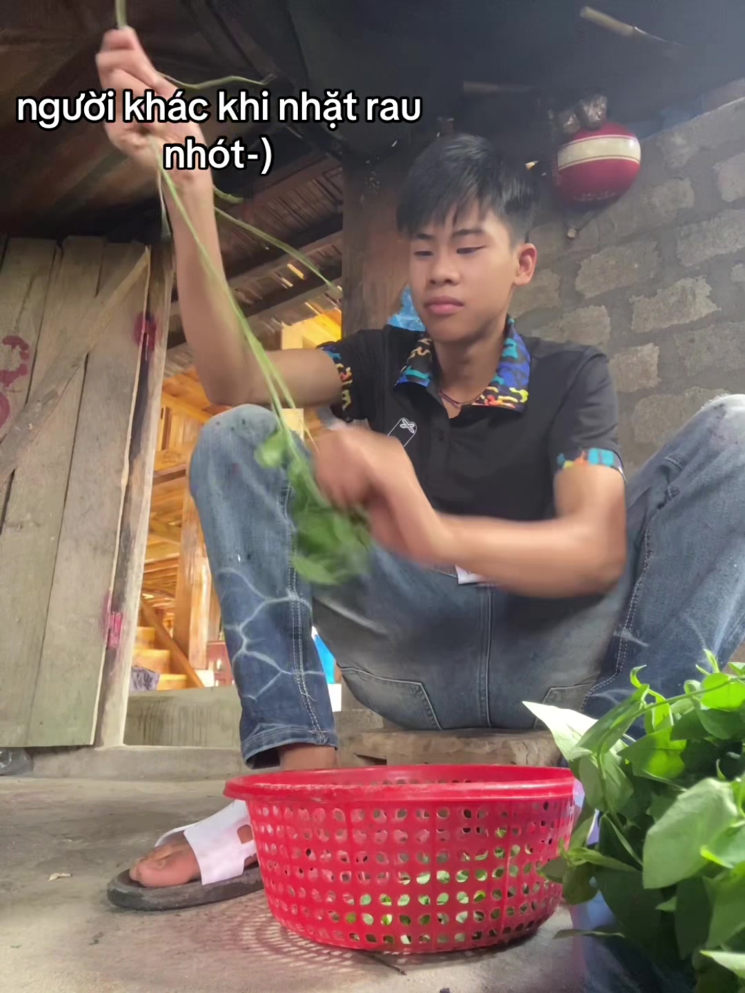 @ấm d&acirc;u 🍓 cc