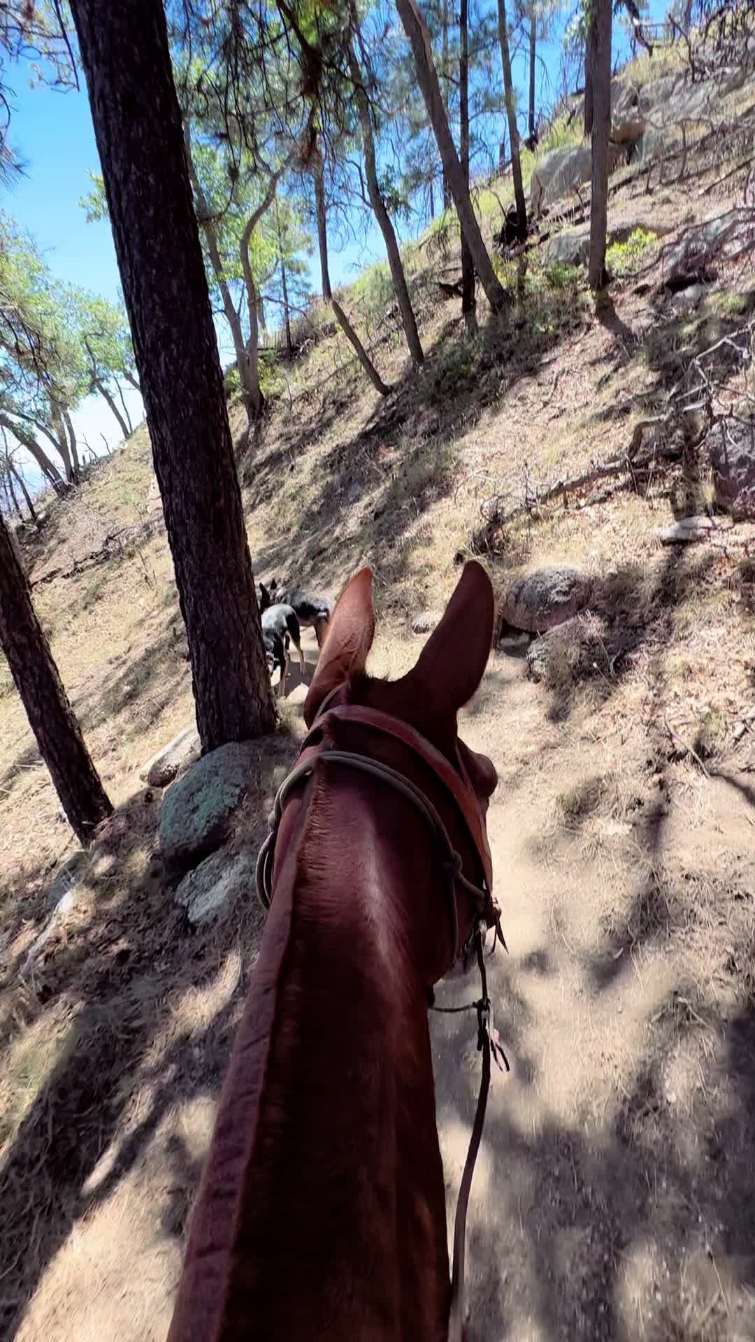 @Classic Cowgirl