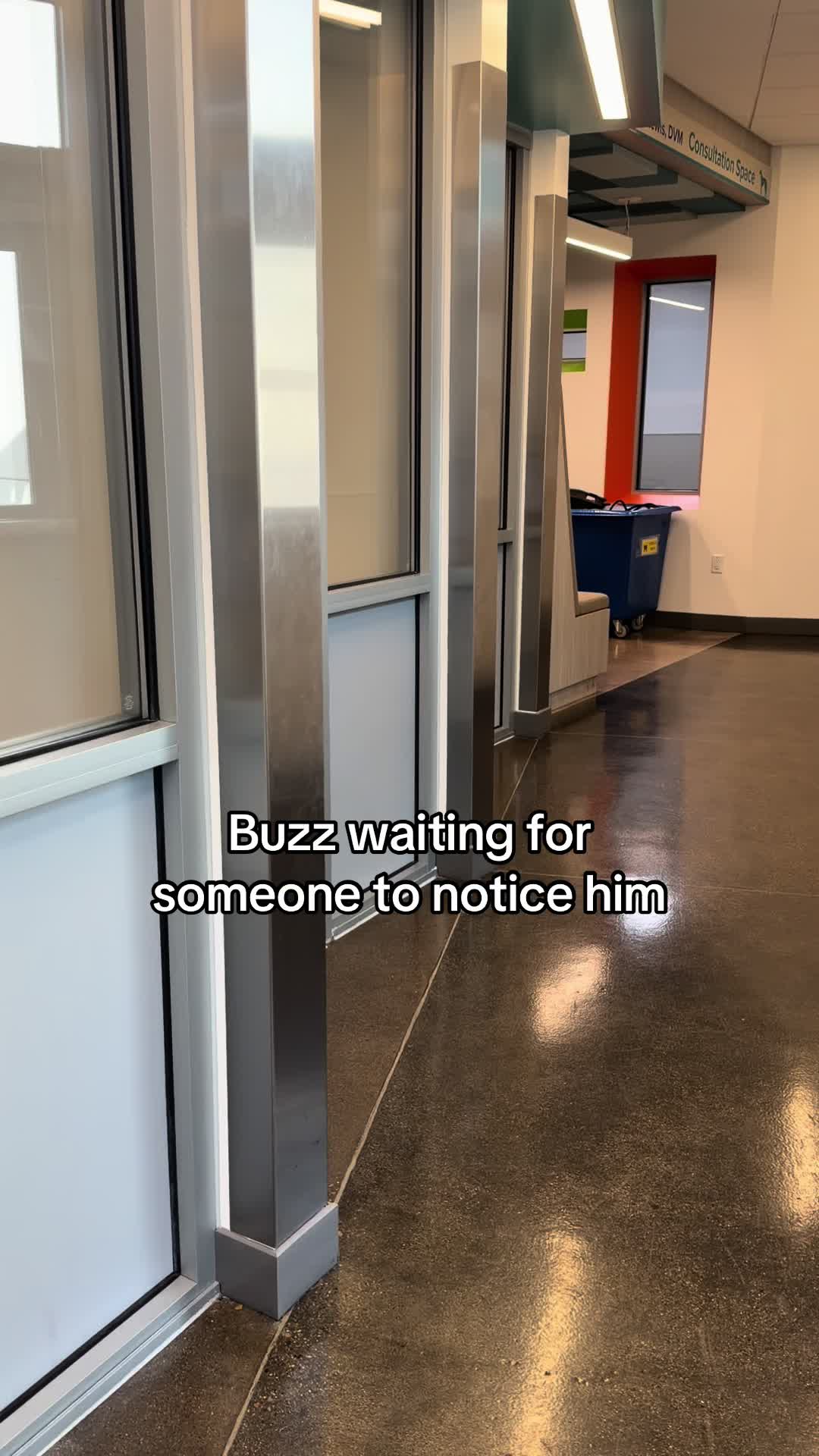@San Diego Humane Society