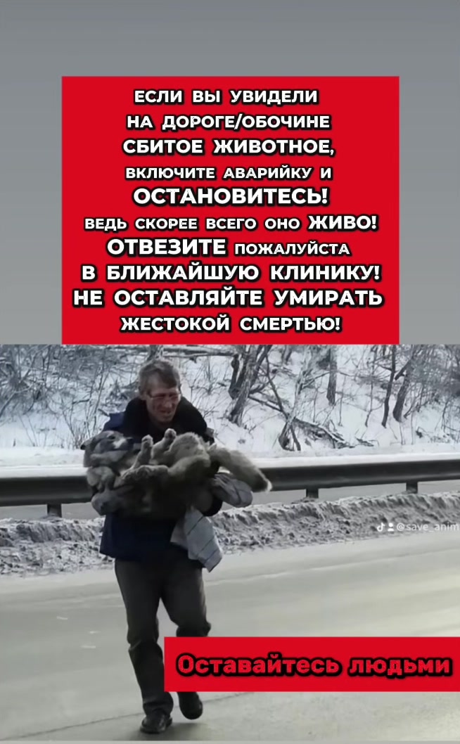 @help_animals_belarus