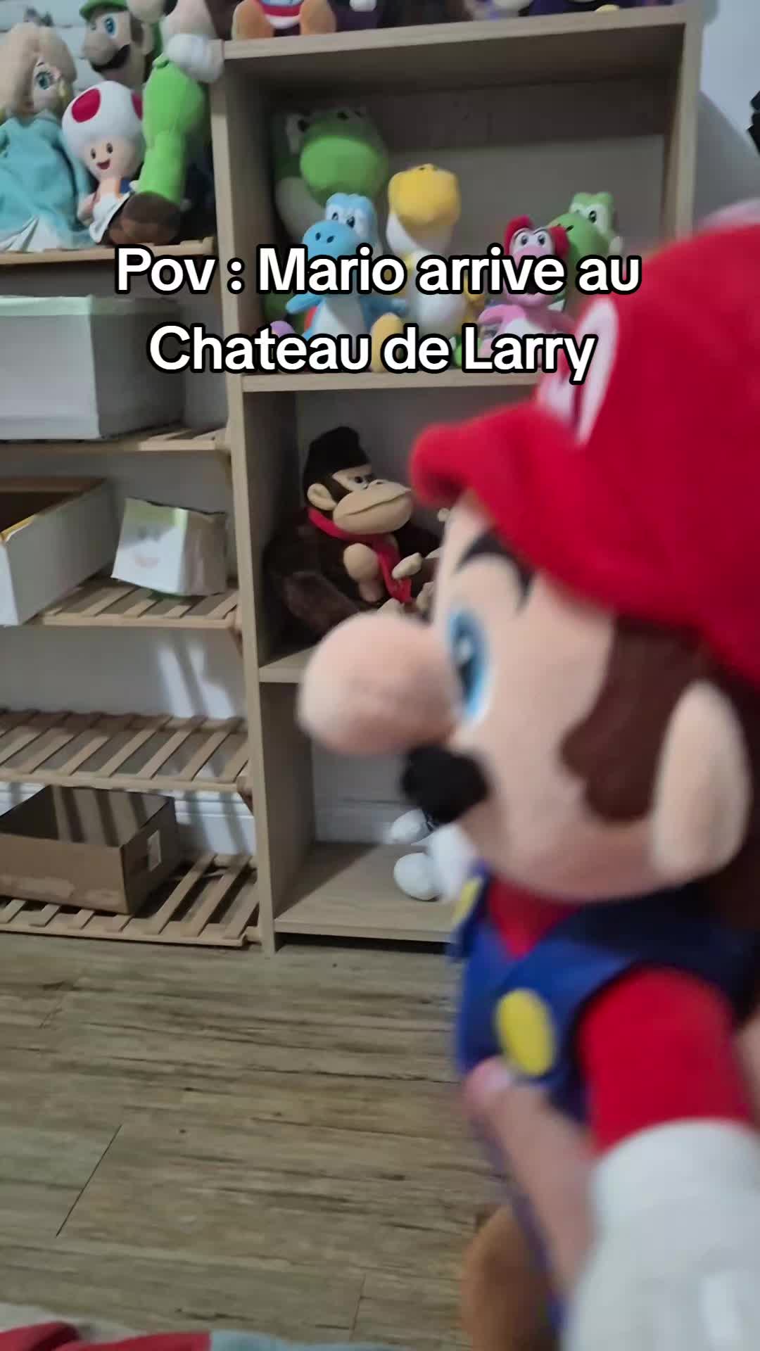 @peluchemario64