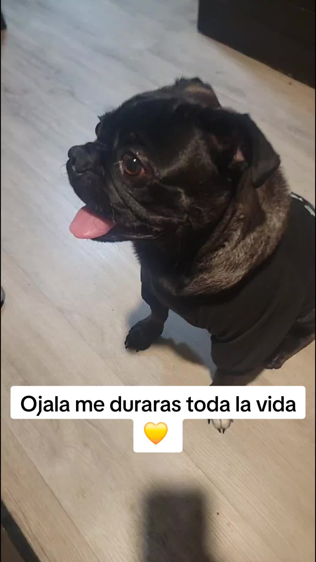 @Claribella 🦋🦋