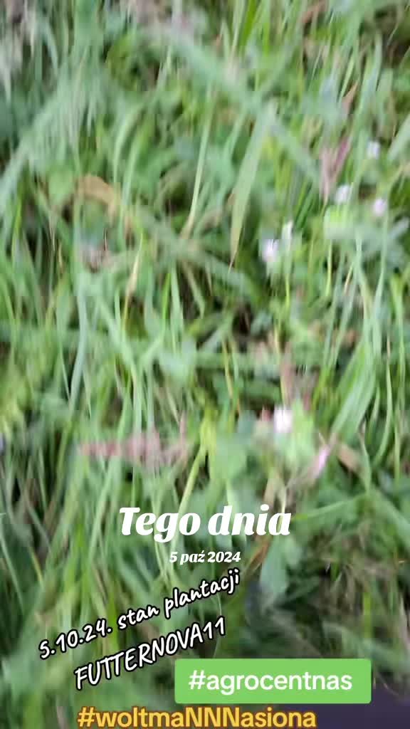 @WOLTMANNNASIONA
