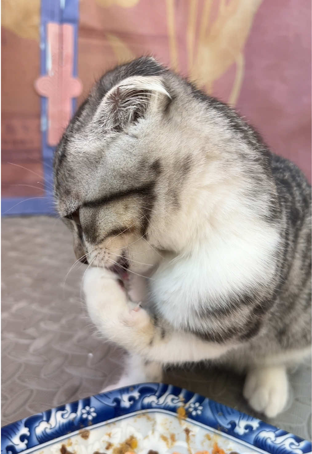 @淘气鬼