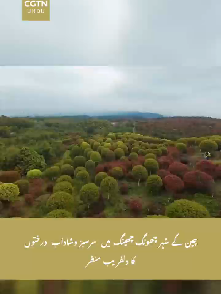 @CGTN URDU