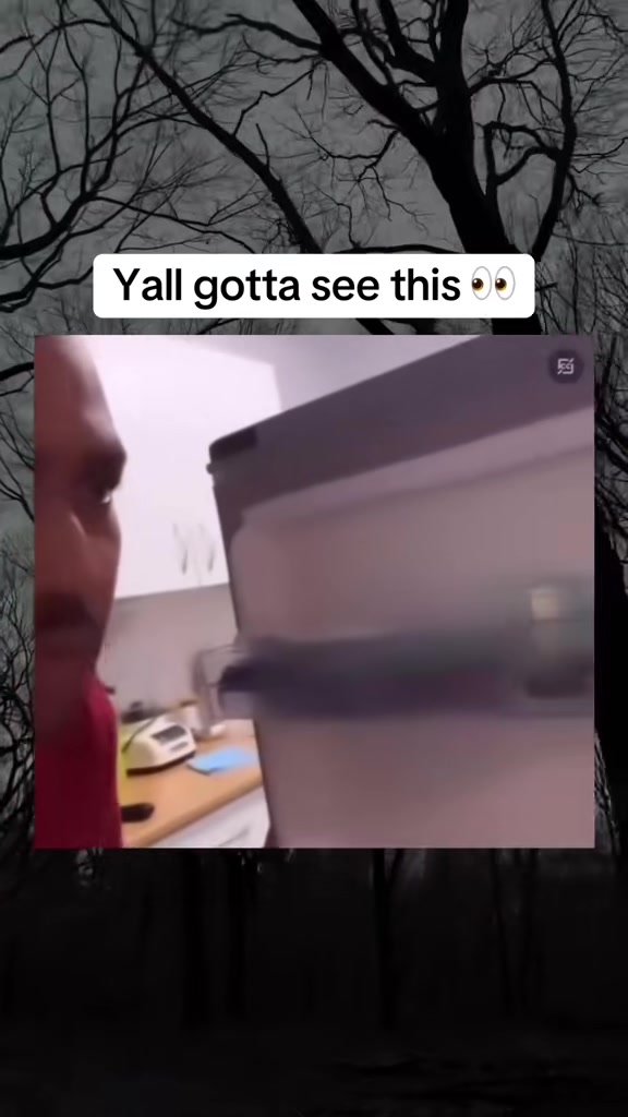 @SCARYVIDEOS