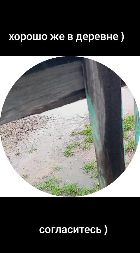 @Дарья