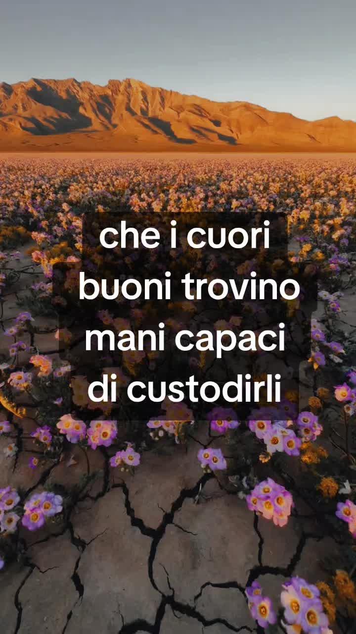 @💫FRASI&CITAZIONI💫